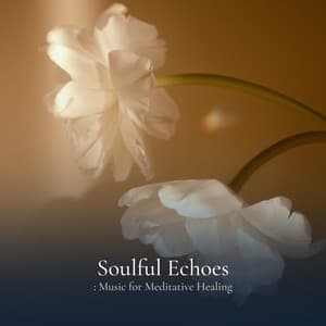 * Soulful Echoes: Music for Meditative Healing * - Reading Music Company