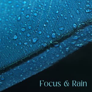 Focus & Rain: Music to Help You Study for Exams - Zen Exam Experts