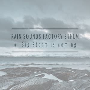 A Big Storm is Coming - Rain Sounds Factory STHLM