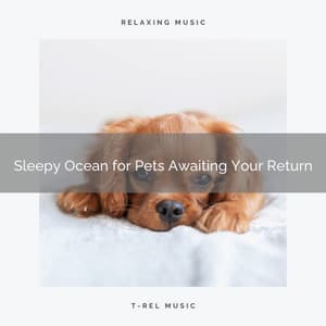2021: Sleepy Ocean for Pets Awaiting Your Return - Music for Pets Library