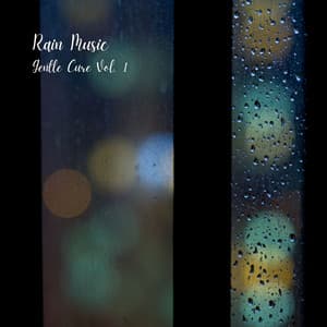 Rain Music: Gentle Cure Vol. 1 - Water Effects Center