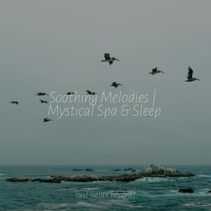 Soothing Melodies | Mystical Spa & Sleep - Exam Study Classical Music