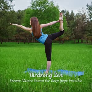 Birdsong Zen: Serene Nature Sound for Deep Yoga Practice - Sounds of the Jungle