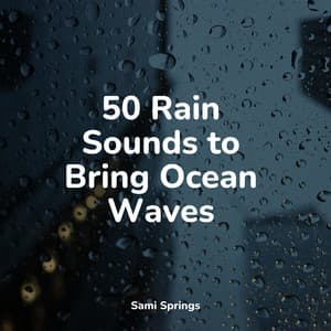 50 Rain Sounds to Bring Ocean Waves - Egyptian Meditation Temple