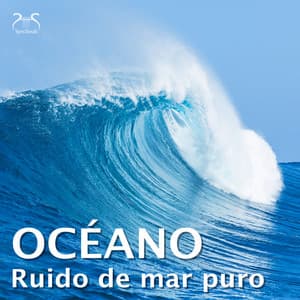 Ruido de mar puro - el océano - proyecto de ruido del mar TA