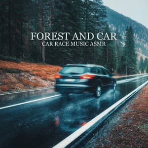 Forest and Car: Car Race Music ASMR - Calm Music Zone