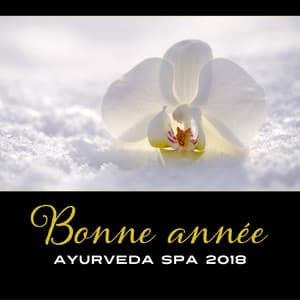 Bonne année ayurveda spa 2018 - Musique zen pour la détente après Noël, Charger les batteries avant la nouvelle année - Bouddha Réflexion Zone Calme