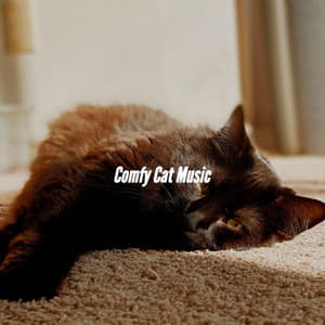Comfy Cat Music - Friday Morning Jazz Chillout