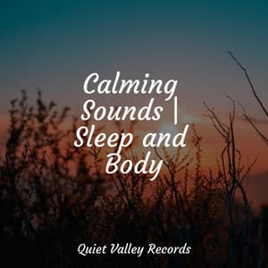 Calming Sounds | Sleep and Body - Sonido de lluvia