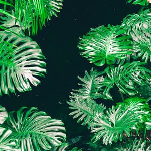 1 Rainy Night: Tropical Oasis - 24H Rain Sounds