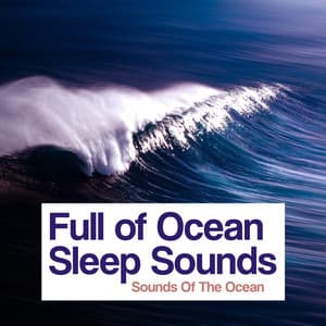 Full of Ocean Sleep Sounds - Sounds Of The Ocean