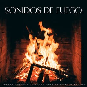 Sonidos De Fuego: Suaves Sonidos De Fuego Para La Concentración - Flamespad Naturaleza Fuego Sonidos