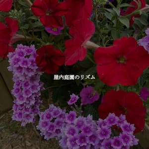 屋内庭園のリズム - Elevator Music All-Stars