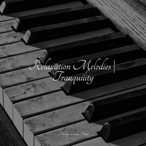 50 Piano Songs to Calm Your Heart - Mozart Lullabies Baby Lullaby