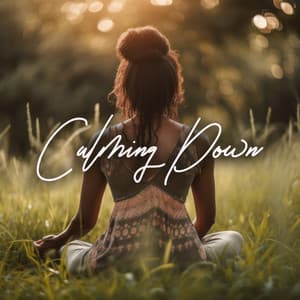 Calming Down: Music When You Are Stressed, Angry, Upset, Depressed And When You Have Had Enough Of Everything - Calm Music Masters Relaxation