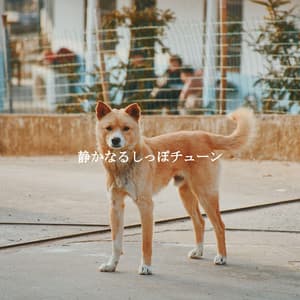 静かなるしっぽチューン - Lunch Time Jazz Playlist