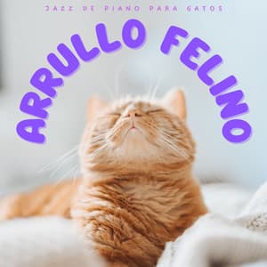 Arrullo Felino: Jazz De Piano Para Gatos - Los gatos del jazz