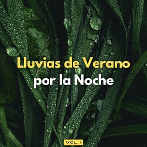 Lluvias De Verano Por La Noche Vol. 1 - Lluvia Para Dormir Mejor