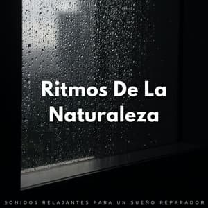 Ritmos De La Naturaleza: Sonidos Relajantes Para Un Sueño Reparador - Naturaleza suena colaboración