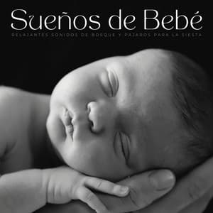 Sueños De Bebé: Relajantes Sonidos De Bosque Y Pájaros Para La Siesta - Sonidos de la naturaleza pacífica