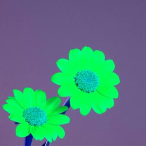 Background Music for Chilled Minutes - Romantic Dinner Table Music