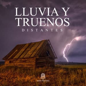 Lluvia y Truenos Distantes - Lluvia Del Bosque