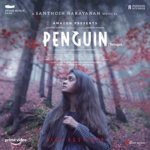 Penguin - Santhosh Narayanan