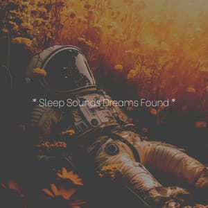 * Sleep Sounds Dreams Found * - Calm Music Zone