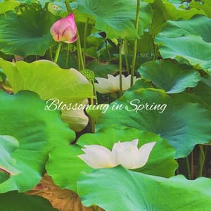 Blossoming in Spring - Relaxing Piano Music