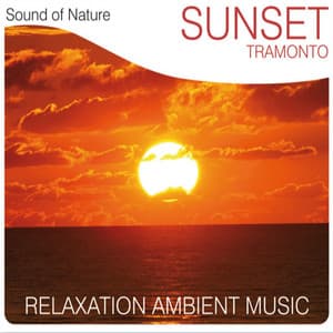 Sunset - Sound of Nature Band