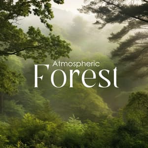 Atmospheric Forest: Music for Contemplation and Tranquility - Zen Forest Collection