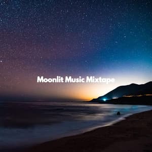 Moonlit Music Mixtape - Soft Romantic Jazz