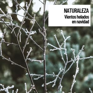 Sonidos de Naturaleza: Vientos helados en navidad - Música Relajante