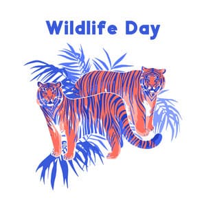 Wildlife Day - Welcome To The Jungle - Matt Fisher Ambient Project