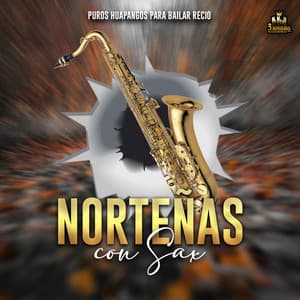 Puros Huapangos Para Bailar Recio - Norteñas Con Sax