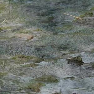 River of Tranquility: Melodies for Midnight Sleep - The Relaxation Hub