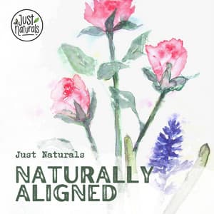 Naturally Aligned - Just Naturals