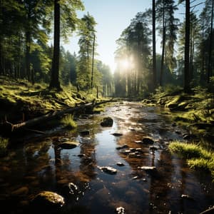 La Belleza De La Naturaleza: Melódico Viaje Fluvial - Toque de la naturaleza