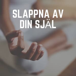 Slappna Av Din Själ - Avslappnande Meditation Akademi