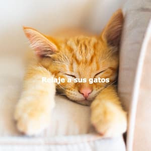 Relaje a sus gatos - Evening Jazz Relaxation