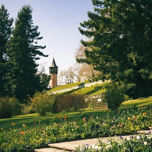 種から音へ - Cool Jazz Chill