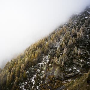 Silent Nocturne Solitude - Spiritloom