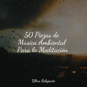 50 Piezas de Música Ambiental Para la Meditación - Sonidos de la Naturaleza