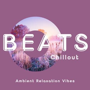 Ambient Relaxation Vibes: Gentle Chillout Music - Beats Chillout