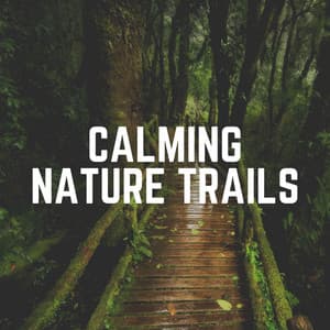 Calming Nature Trails - Nature's Noise