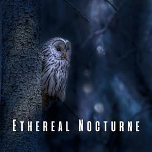 Ethereal Nocturne: Owl and Wind Sleep Soundscapes - Bird Sounds