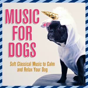 Music for Dogs: Soft Classical Music to Calm and Relax Your Dog - Relaxmydog