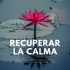 Recuperar la Calma: Música para Parar de Pensar, Respirar Profundamente, Relajación y Meditación - Música para Sanar el Alma