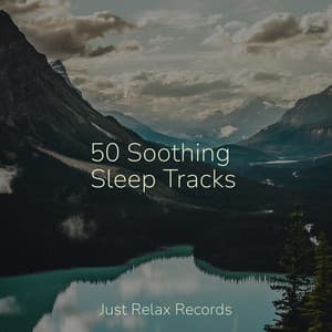 50 Soothing Sleep Tracks - Study Hard