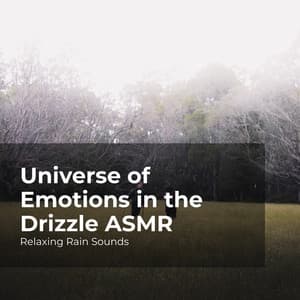Universe of Emotions in the Drizzle ASMR - Relaxing Rain Sounds